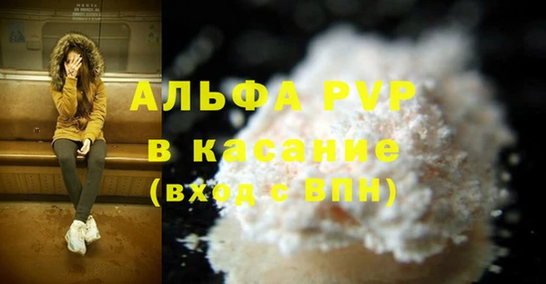 крисы Магас