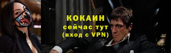 крисы Магас