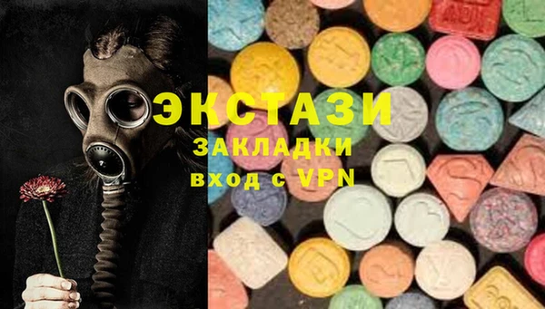 индика Медногорск
