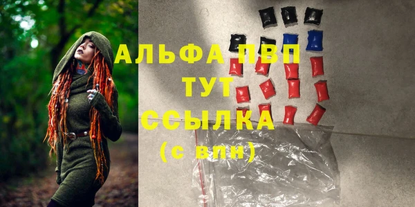 крисы Магас