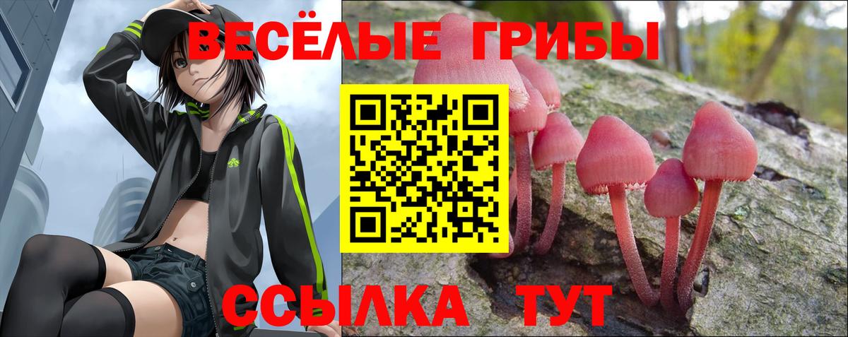 где можно купить   Вход с VPN  Острогожск  Псилоцибиновые грибы Psilocybine cubensis  Галлюциногенные грибы GOLDEN TEACHER 