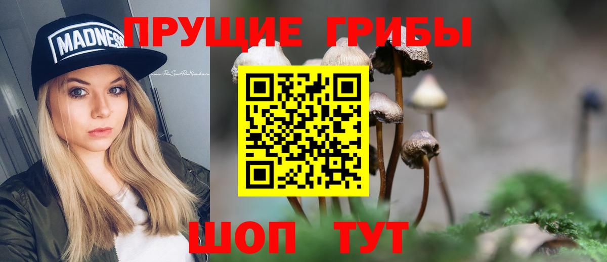Галлюциногенные грибы прущие грибы  Острогожск 