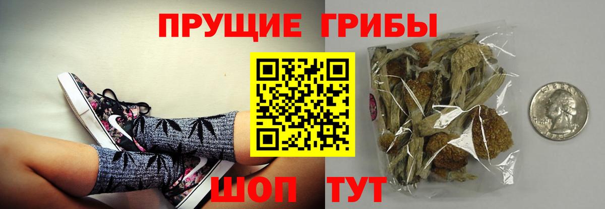 Псилоцибиновые грибы MAGIC MUSHROOMS Острогожск